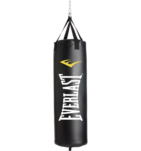 everlast punching bag